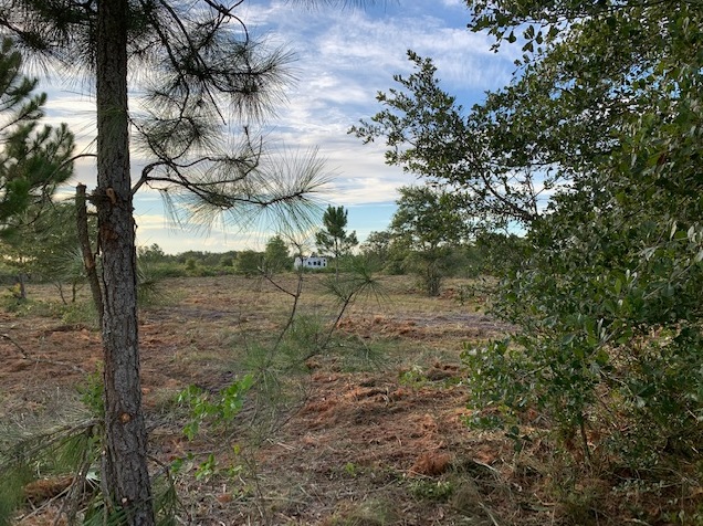 Holopaw Florida Recreational Land Suburban Estates Camp Lot For Sale