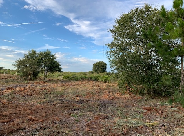 Holopaw Florida Recreational Land Suburban Estates Camp Lot For Sale