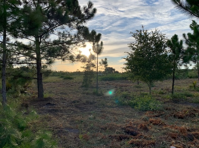 Holopaw Florida Recreational Land Suburban Estates Camp Lot For Sale