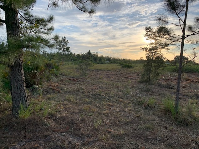 Holopaw Florida Recreational Land Suburban Estates Camp Lot For Sale