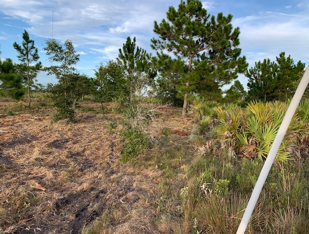 Holopaw Florida Recreational Land Suburban Estates Camp Lot For Sale