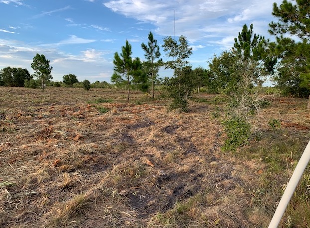 Holopaw Florida Recreational Land Suburban Estates Camp Lot For Sale