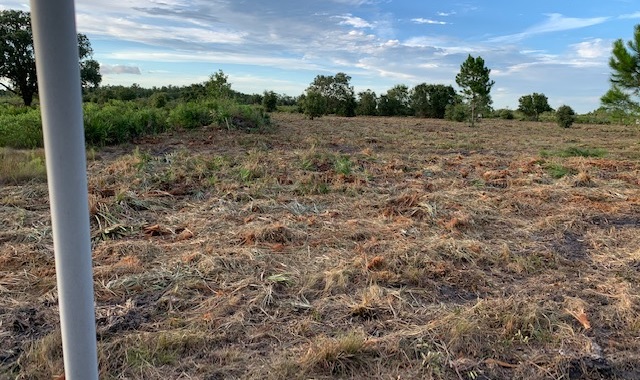 Holopaw Florida Recreational Land Suburban Estates Camp Lot For Sale