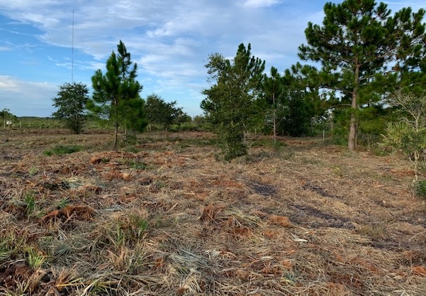 Holopaw Florida Recreational Land Suburban Estates Camp Lot For Sale
