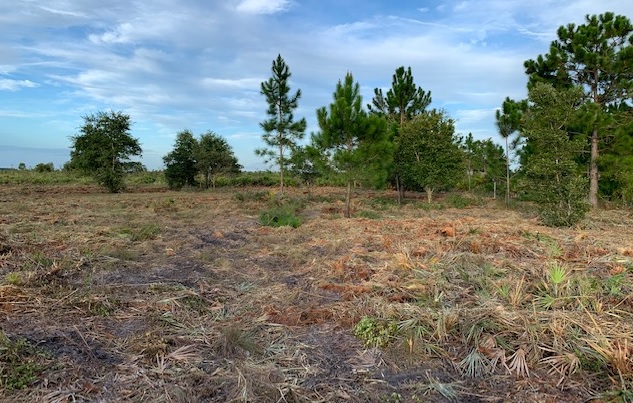 Holopaw Florida Recreational Land Suburban Estates Camp Lot For Sale
