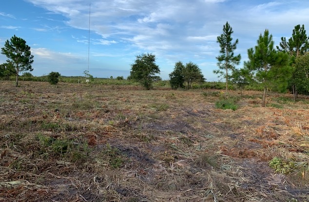 Holopaw Florida Recreational Land Suburban Estates Camp Lot For Sale