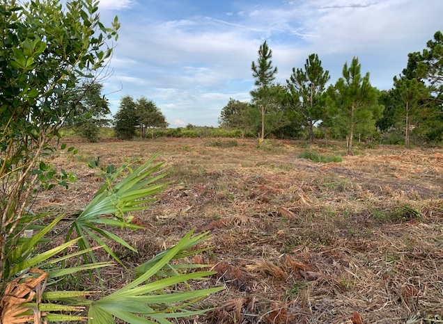 Holopaw Florida Recreational Land Suburban Estates Camp Lot For Sale