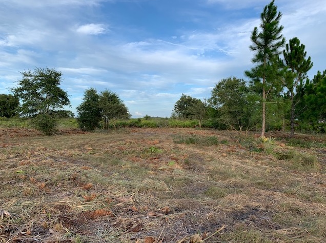 Holopaw Florida Recreational Land Suburban Estates Camp Lot For Sale