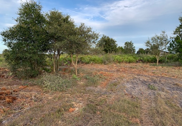 Holopaw Florida Recreational Land Suburban Estates Camp Lot For Sale