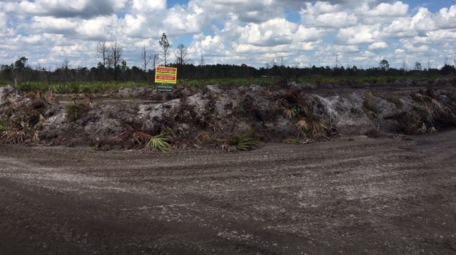Suburban Estates Holopaw Florida Recreational Camp Lot 4x4 Land atv swamp buggy hunt