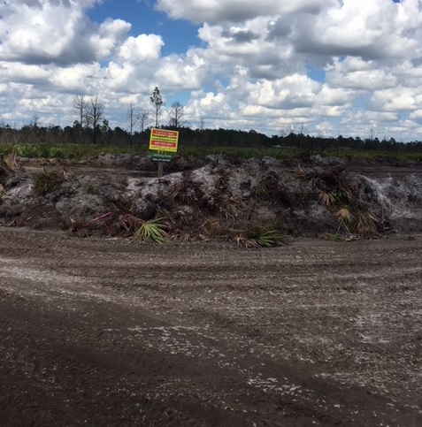 Suburban Estates Holopaw Florida Recreational Camp Lot 4x4 Land atv swamp buggy hunt
