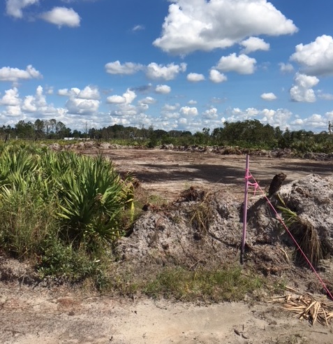 Suburban Estates Holopaw Florida Recreational Camp Lot 4x4 Land atv swamp buggy hunt