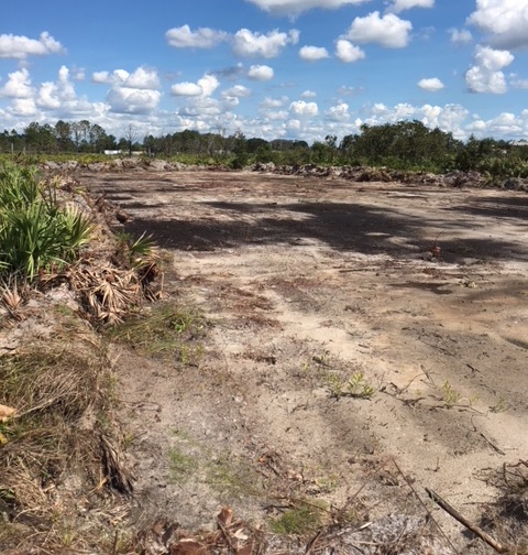 Suburban Estates Holopaw Florida Recreational Camp Lot 4x4 Land atv swamp buggy hunt