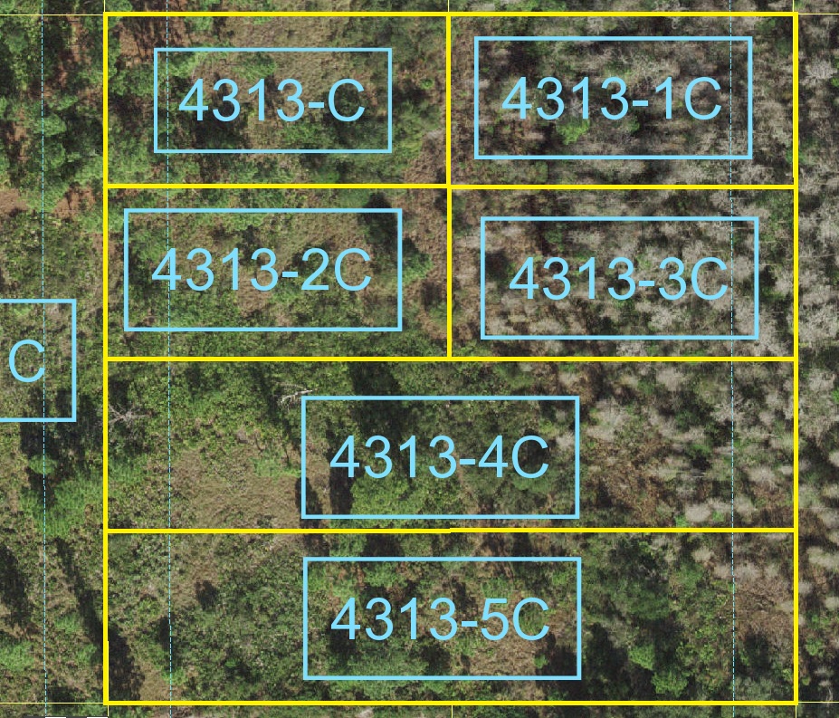 Holopaw Florida Suburban Estates Lot For Sale