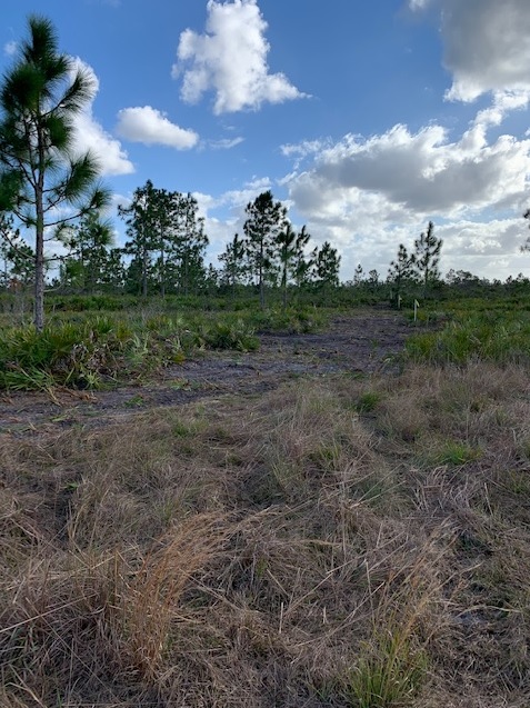 Florida Recreational Camp Lot 4x4 Camping SXS Atv Suburban Estates Holopaw FL