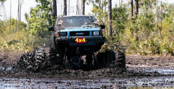 holopaw fl