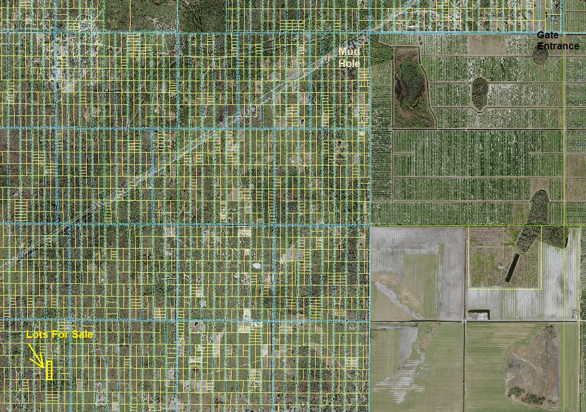 Suburban Estates Holopaw Florida Land in the USA 4x4 atv camp hunt