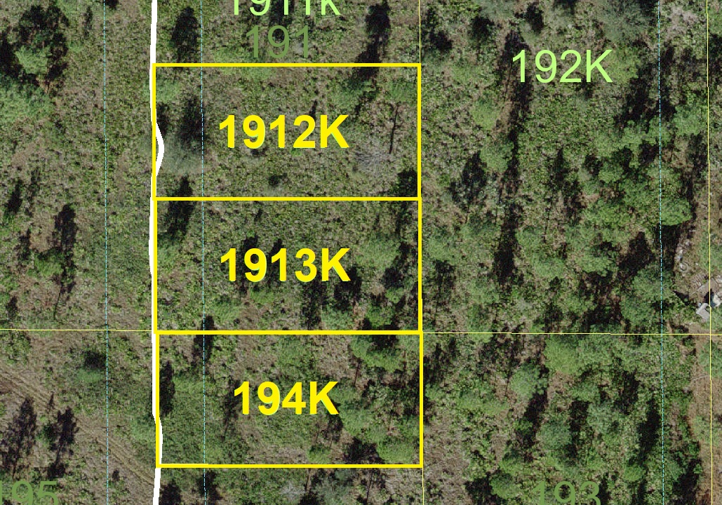Suburban Estates Holopaw Florida Land in the USA 4x4 atv camp hunt