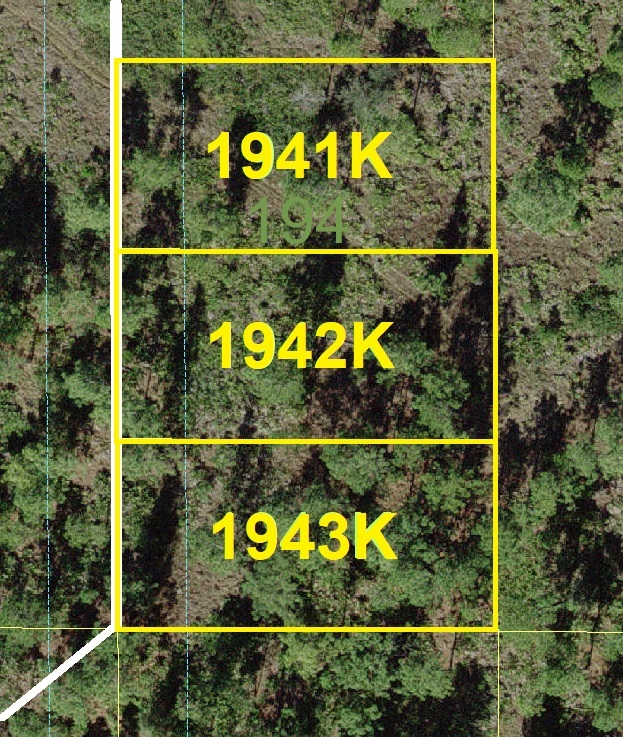 Suburban Estates Holopaw Florida Land in the USA 4x4 atv camp hunt
