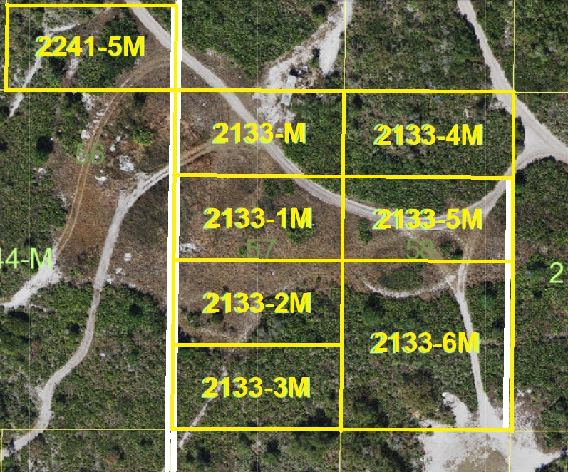 Suburban Estates Holopaw Florida Recreational Land For Sale
