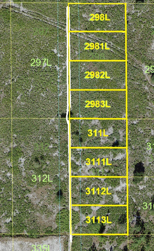 Suburban Estates Holopaw Recreational Land For Sale atv honda talon side by side sxs