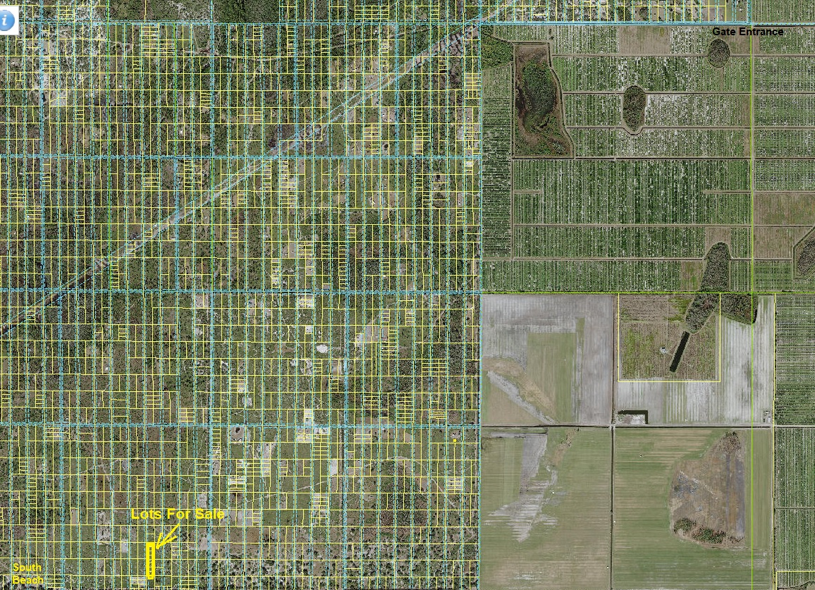 Suburban Estates Holopaw Recreational Land For Sale atv honda talon side by side sxs