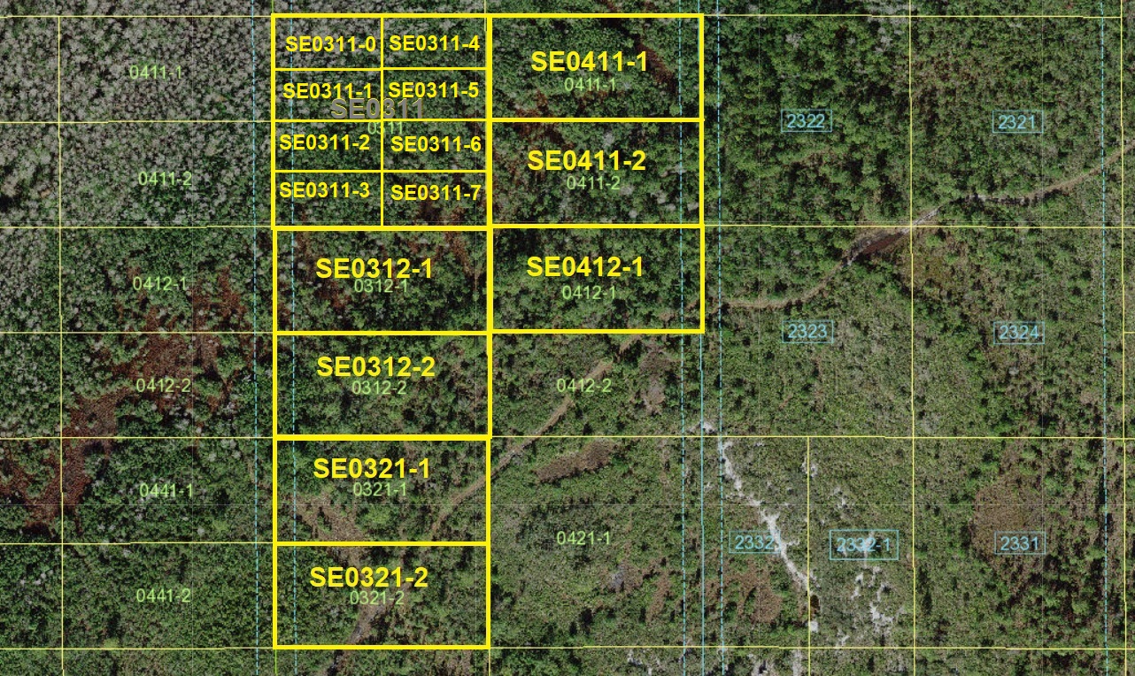 Suburban Estates Holopaw Florida Hunting Land atv 4x4 recreational