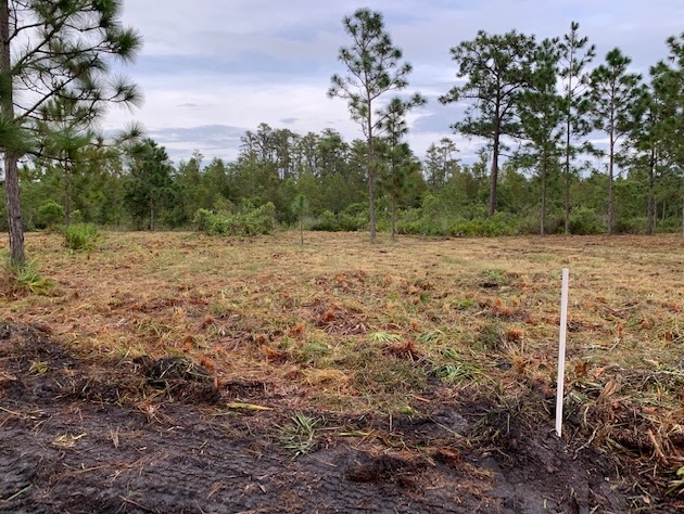 Florida Recreational Atv Can Am Honda 4x4 off roading Suburban Estates Holopaw Florida