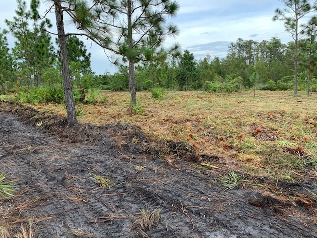 Florida Recreational Atv Can Am Honda 4x4 off roading Suburban Estates Holopaw Florida