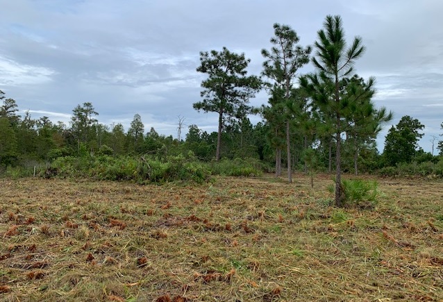 Florida Recreational Atv Can Am Honda 4x4 off roading Suburban Estates Holopaw Florida