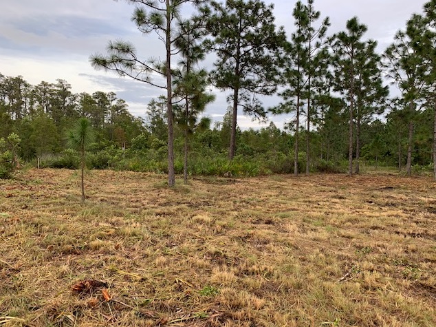 Florida Recreational Atv Can Am Honda 4x4 off roading Suburban Estates Holopaw Florida