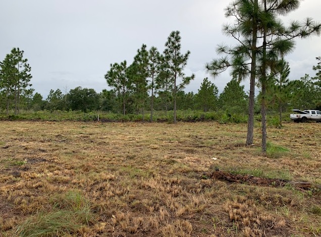 Florida Recreational Atv Can Am Honda 4x4 off roading Suburban Estates Holopaw Florida