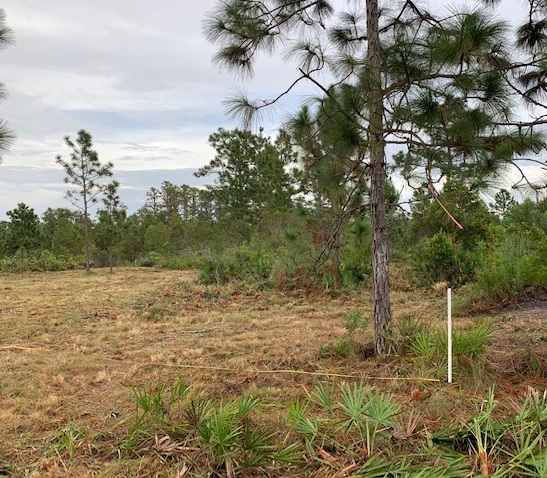 Suburban Estates Land For Sale Holopaw Florida