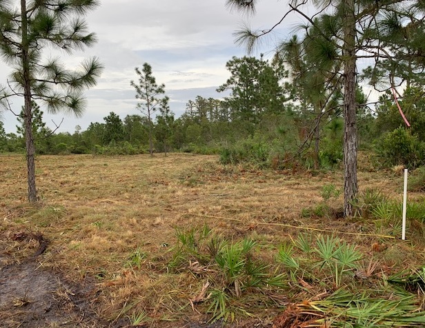 Suburban Estates Land For Sale Holopaw Florida