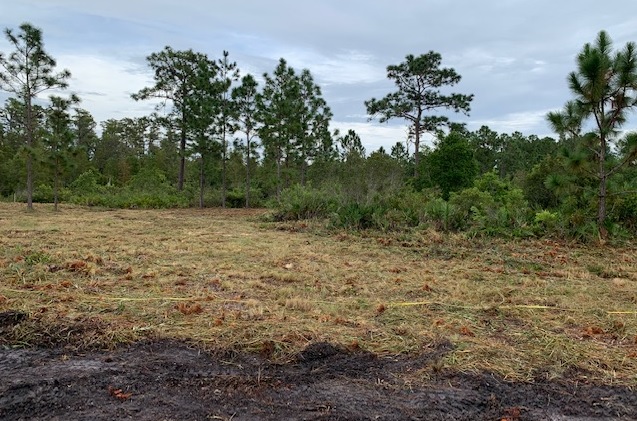 Suburban Estates Land For Sale Holopaw Florida