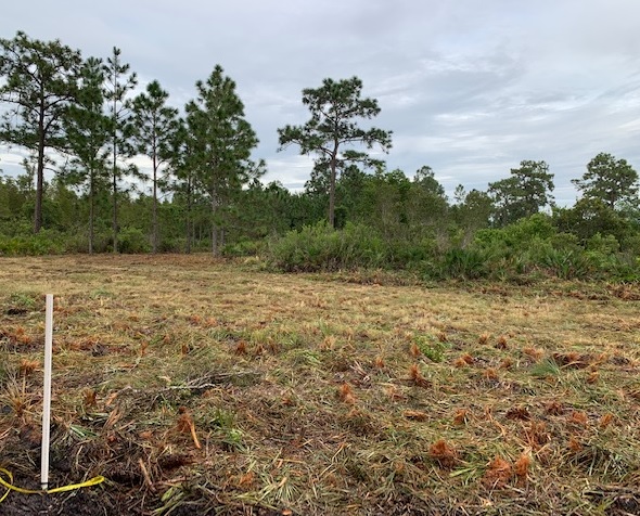 Suburban Estates Land For Sale Holopaw Florida