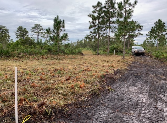 Suburban Estates Land For Sale Holopaw Florida