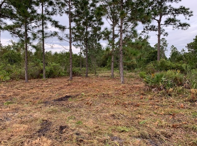Suburban Estates Land For Sale Holopaw Florida