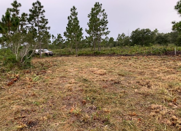 Suburban Estates Land For Sale Holopaw Florida