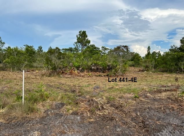 Florida Recreational Camp Land For Sale Suburban Estates