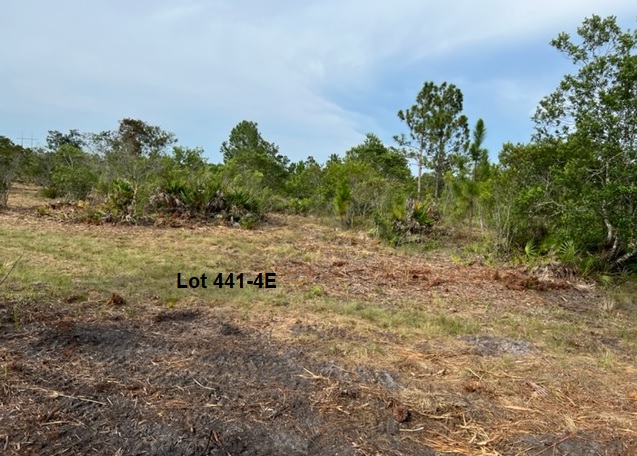 Florida Recreational Camp Land For Sale Suburban Estates