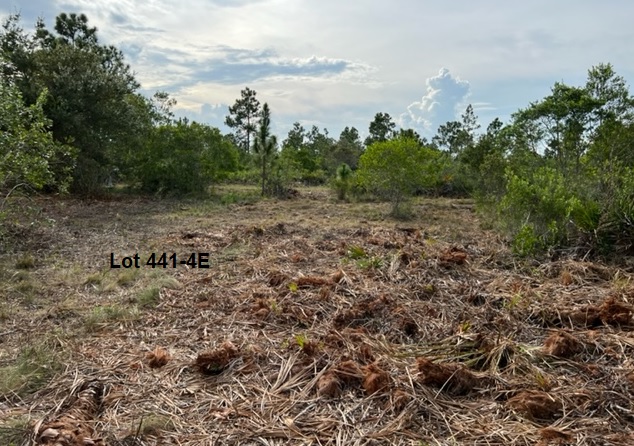 Florida Recreational Camp Land For Sale Suburban Estates