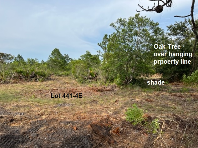 Florida Recreational Camp Land For Sale Suburban Estates Holopaw