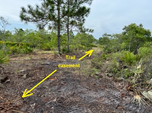 Suburban Estates Holopaw Florida Trail Recreational Land For Sale