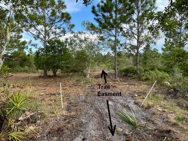 Suburban Estates Holopaw Florida Trail Recreational Land For Sale