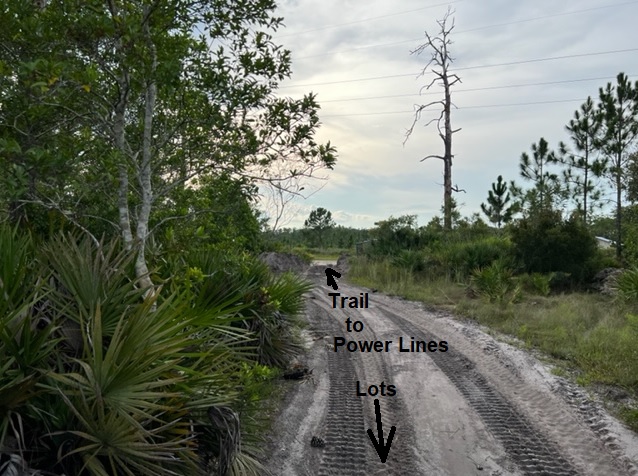 Suburban Estates Holopaw Florida Trail Recreational Land For Sale