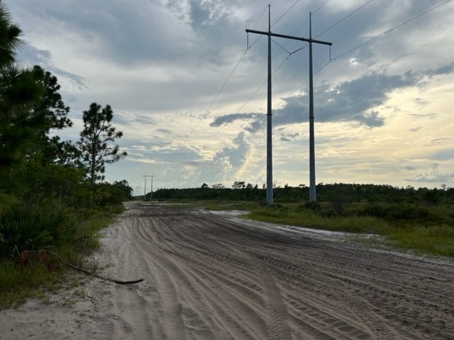 Suburban Estates Holopaw Florida Trail Recreational Land For Sale