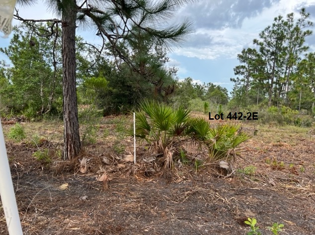 Florida Recreational Off Road Camp Land 4x4ing atving
