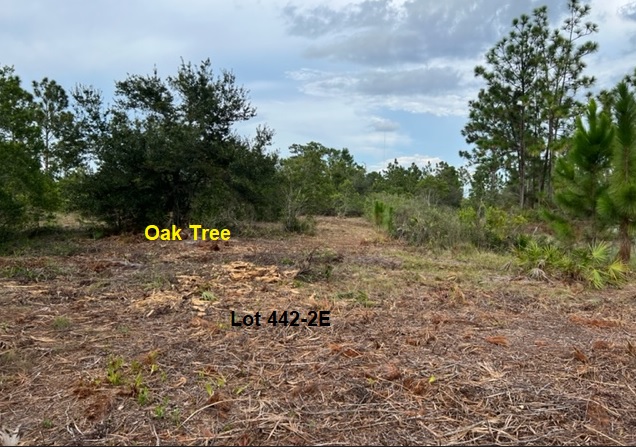 Florida Recreational Off Road Camp Land 4x4ing atving