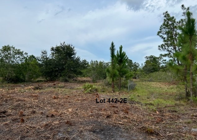 Florida Recreational Off Road Camp Land 4x4ing atving